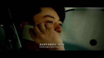 禁区 在线观看,揭秘禁区内外的激情与悬念