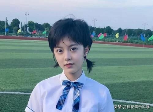 圈内爆料赵金麦视频全集,视频全集背后的惊人真相