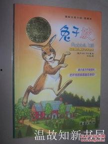 娱乐吃瓜兔子小说免费阅读,揭秘娱乐圈幕后故事